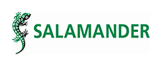 Salamander